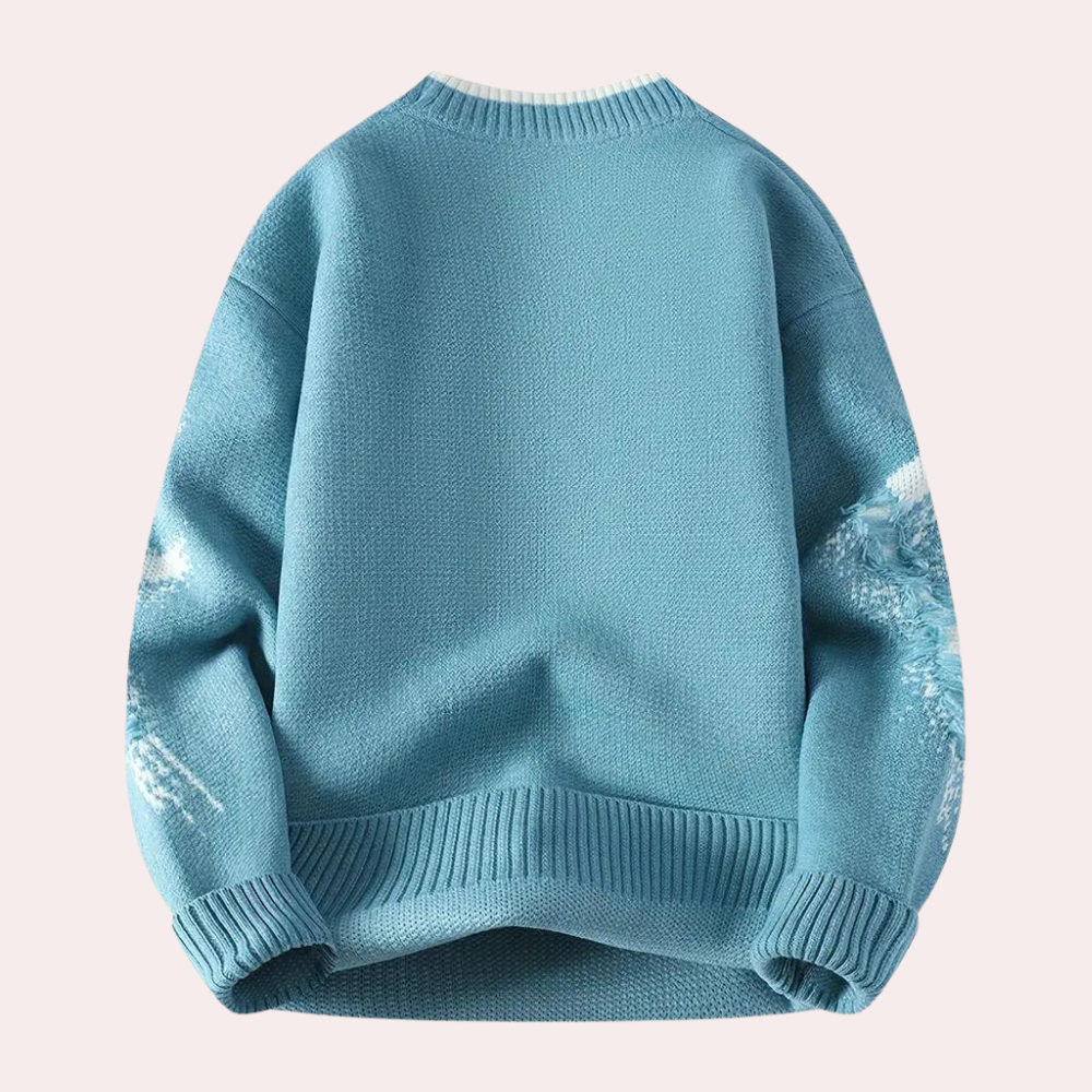 Modischer Pulli für Männer