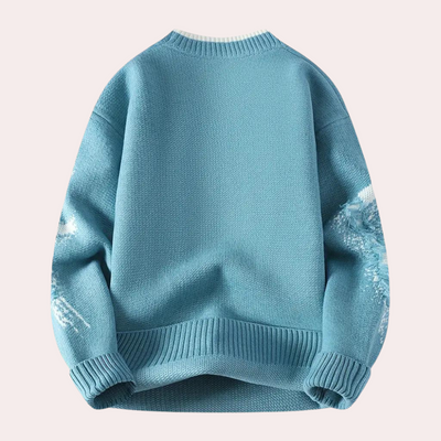 Modischer Pulli für Männer